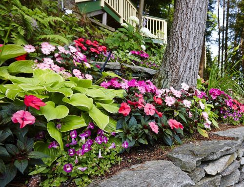 LAKE ROSSEAU GARDEN DESIGN, PLANTING AND MAINTENANCE