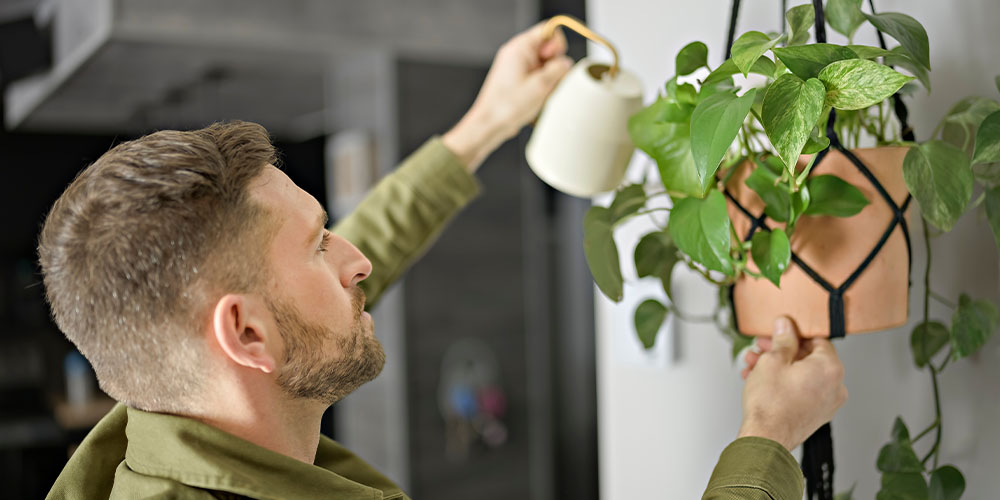 Port Carling and Bala Garden Centres-Ontario-Guide to Caring for Your Houseplants-watering a houseplant