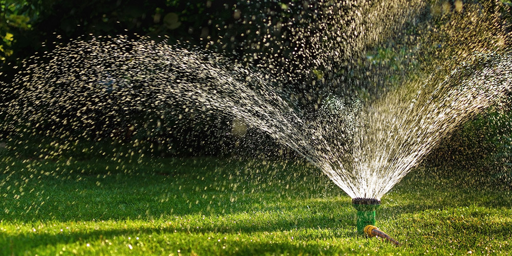 Port Carling Garden Centre-Ontario-Spring Cleaning- Lawn Care Edition-watering the grass Port Carling Garden Centre-Ontario-Spring Cleaning- Lawn Care Edition-watering the grass